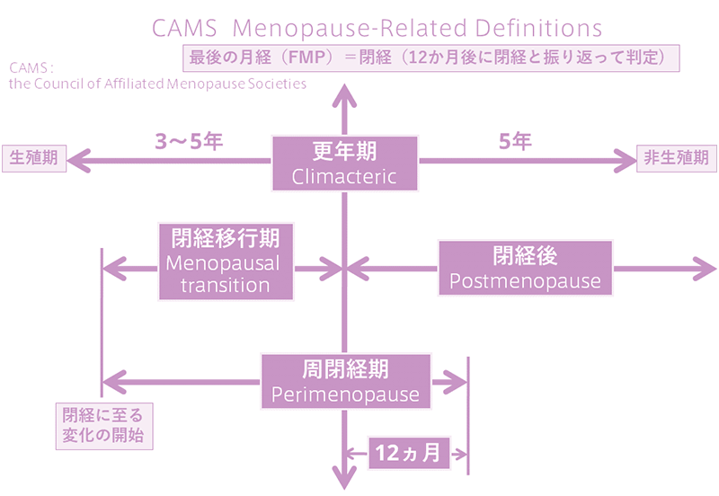 腹痛 生理 こない