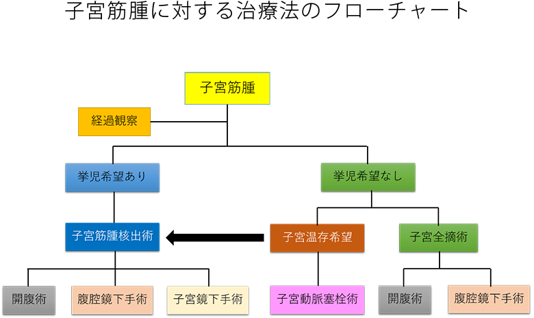 子宮筋腫に対する治療法のフローチャート