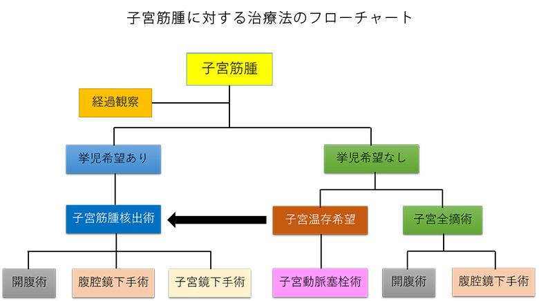 子宮筋腫に対する治療法のフローチャート