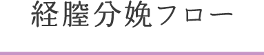 経膣分娩フロー